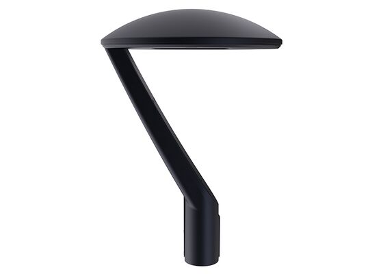 ENEC CB RETILAP SAA SABER CE RoHS Certified 60W CROWN GEN3 LED Street Light DALI Urban Street Light Garden Light INMETRO IP66 Outdoor Tool-free Opening Design